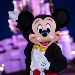 Billets Disneyland CE CSE non datés ECO – valables 1 an dès émission
