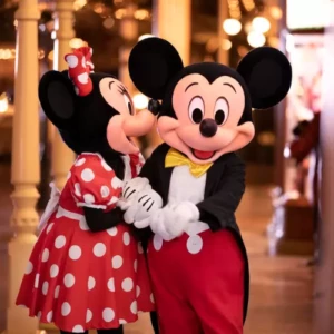 Billets Disneyland CE CSE non datés FLEX – valables 1 an dès émission