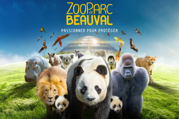 Design sans titre - 2025-10-22T090156.304