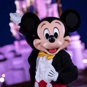 Billets Disneyland datés Noël 2026